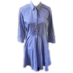 Ann Taylor Shirt Dress Blue Stripes 10p
